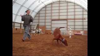 Tug Weaving.wmv