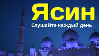 СУРА ЯСИН СЛУШАЙТЕ КАЖДЫЙ ДЕНЬ 02.03.2024