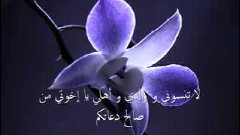 اذا سمعتها لن تندم تلاوات خاشعة ومؤثره وجميلة تدمع لها العين