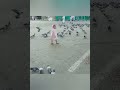 اجمل طفلة في الحرم المكي تلعب مع الحمام اجمل طفلة في الحرم المكي تلعب مع الحمام