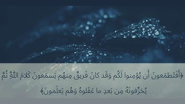 تلاوة خاشعة بصوت القارئ:أحمد الحمادي سورة:البقرة من٧٥-٨٣