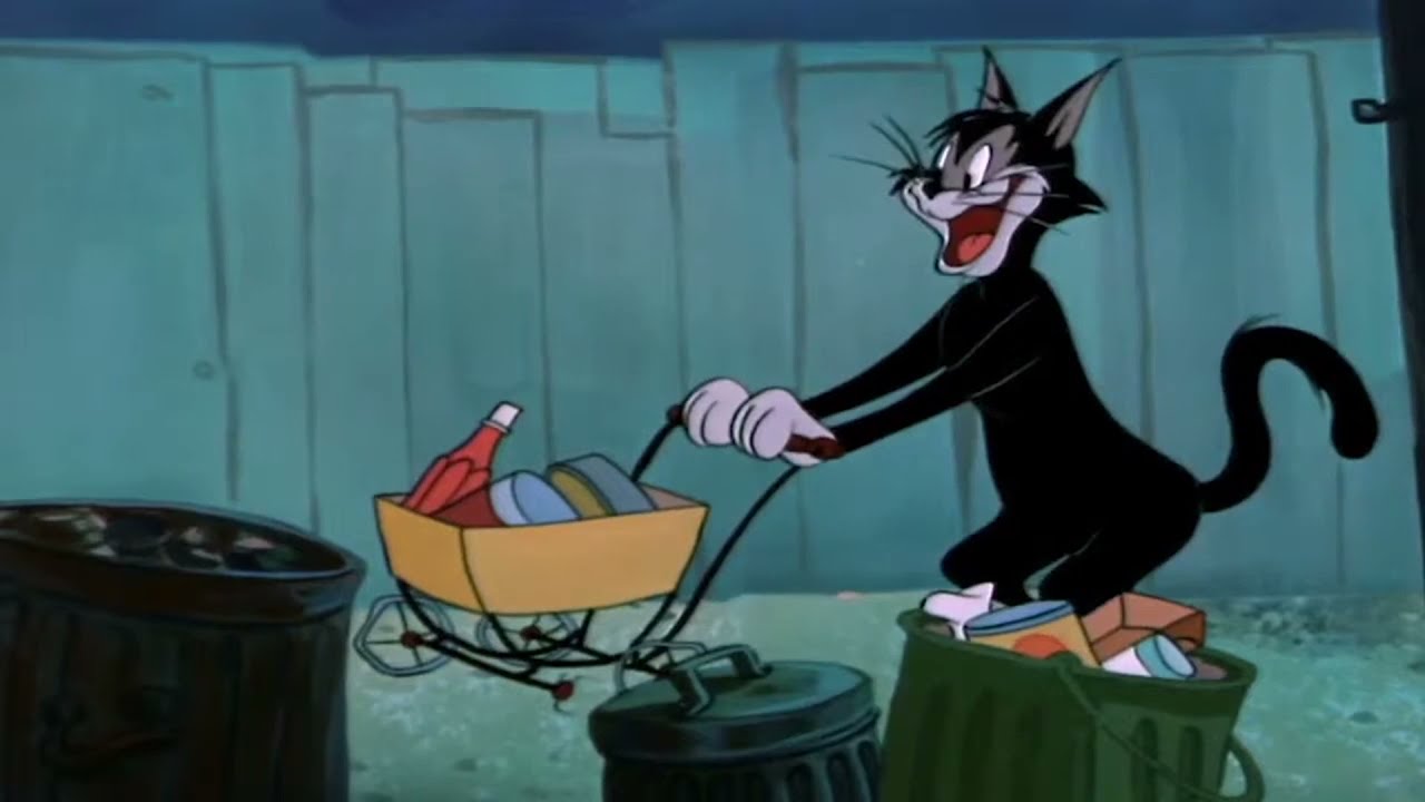 Помоечный кот картинка