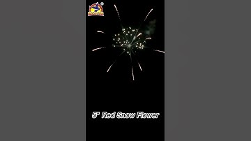 5 inch Display Shells Red Snow Flower #fireworksshow #fireworkstesting #displayshell #fyp