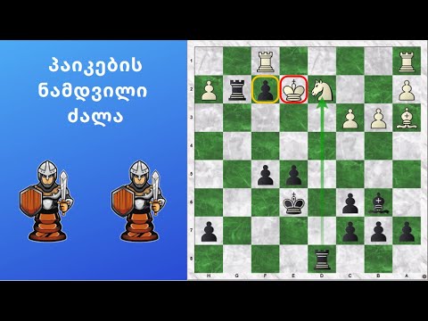 პაიკები მეტია, ვიდრე გაზაევი...