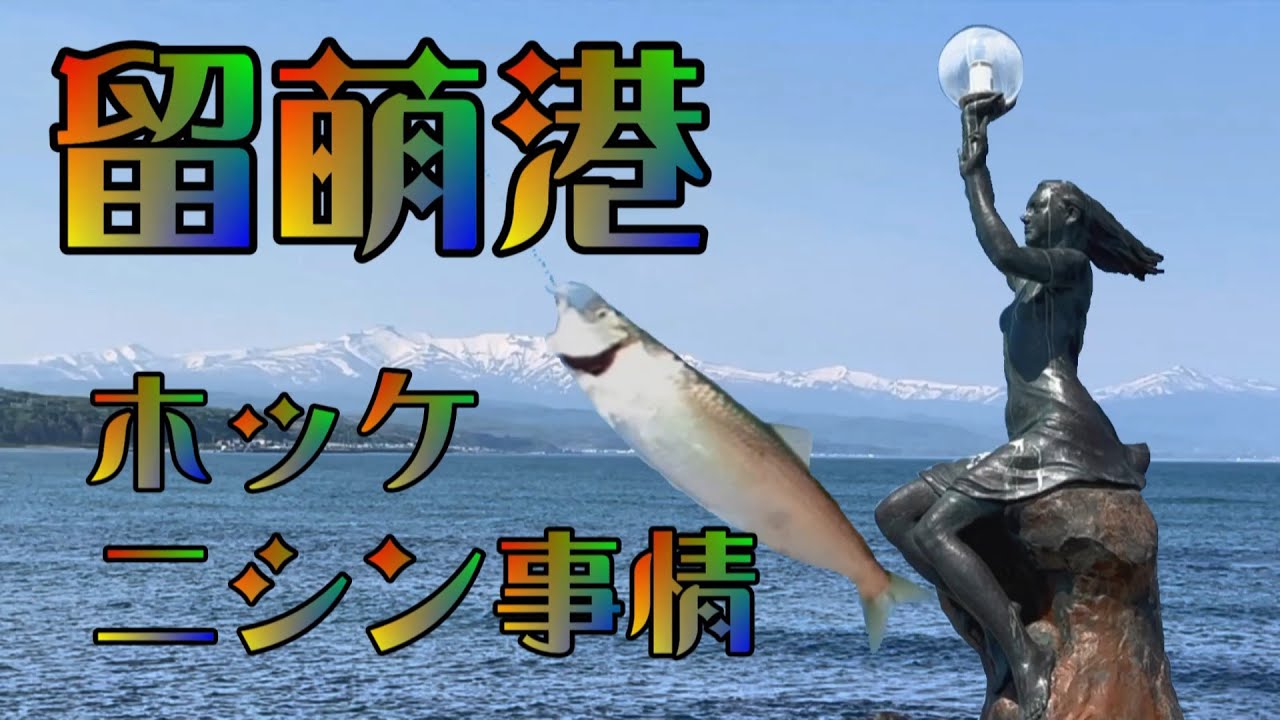留萌港　ホッケ・ニシン事情