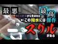 【撥水のスリル】最悪ch状況から生まれた私的な最高傑作、成長する超撥水コーティング