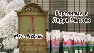 Новая ватная игрушка. Гортензии в Леруа Мерлен. Поездка на дачу. Шкаф-реквизит.