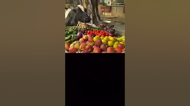 अंकल का सब्जी गाय माता का ली #respect #helping