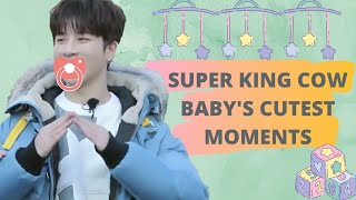 Super King Cow Babys Cutest Moments