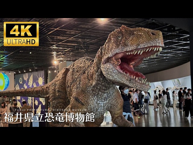 恐竜博物館の魔獣 Real‑Life Jurassic Park? 🦖 Exploring Fukui Prefectural