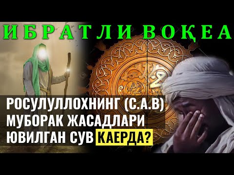 Video: Nima uchun rus ayig'i dangasa?