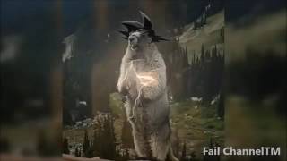 Funny Or Die, Best GIFS Of All Time, Laughing GIFS Compilation #1