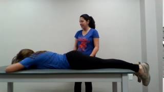 Prone Active Straight Leg Raise
