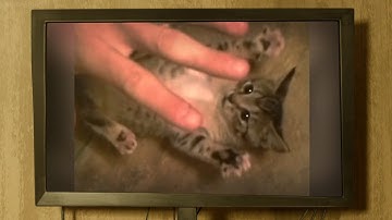 Random Animation Live Action Compilation Part 12