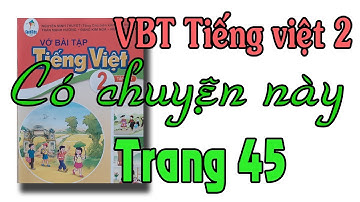 Vở bài tập tiếng việt lớp 2 |sách cánh diều bài 11| trang 45 Bài đọc Có chuyện này