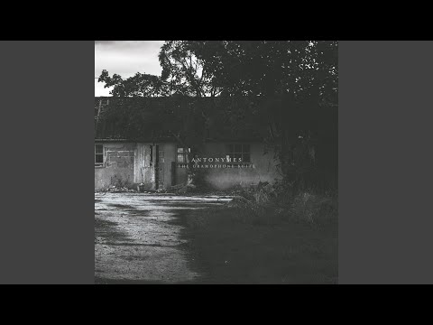 Antonymes — Half Life