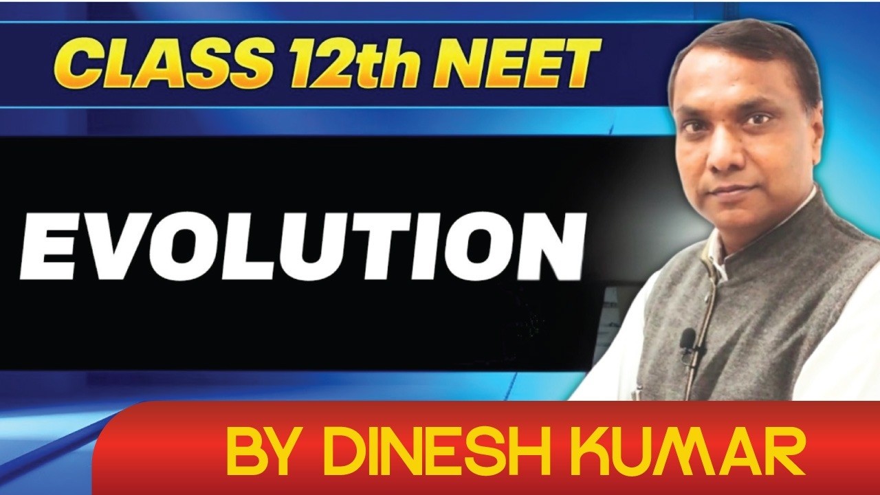 Evolution | Class 12 Biology | Full Chapter Explanation