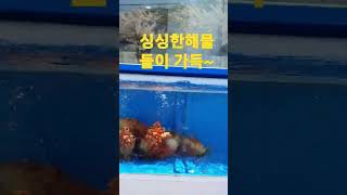 #바다의싱싱한~ #해산물이가득~