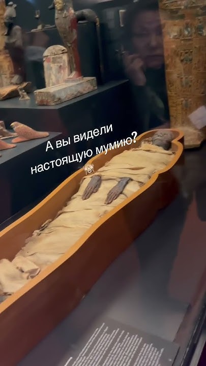 Мумия в Ватиканском музее 🇻🇦#музей #vatican - YouTube