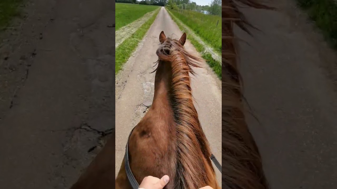 Voyages Malins: Fun, bons plans & 