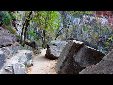 Riverside Walk Trail (Gateway to The Narrows) - Zion National Park in 4K!