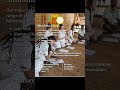 What do you actually study in 200 hr YTT ?