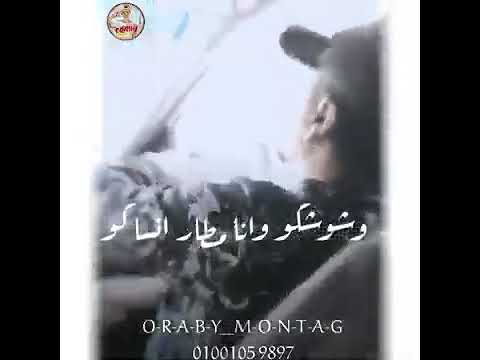حاله واتس اندال اندال