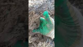 #xpdeus2 #находики #world