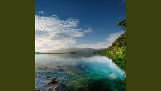 Soft Echoes of Serenity
