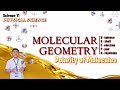 Understanding Molecular Polarity and Geometry
