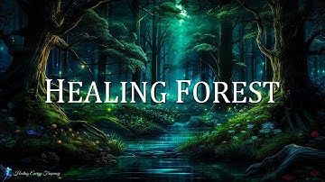 Healing Forest Ambience | 528Hz + 741Hz + 396Hz - Miracle Tone Healing | Energy Cleansing Meditat...