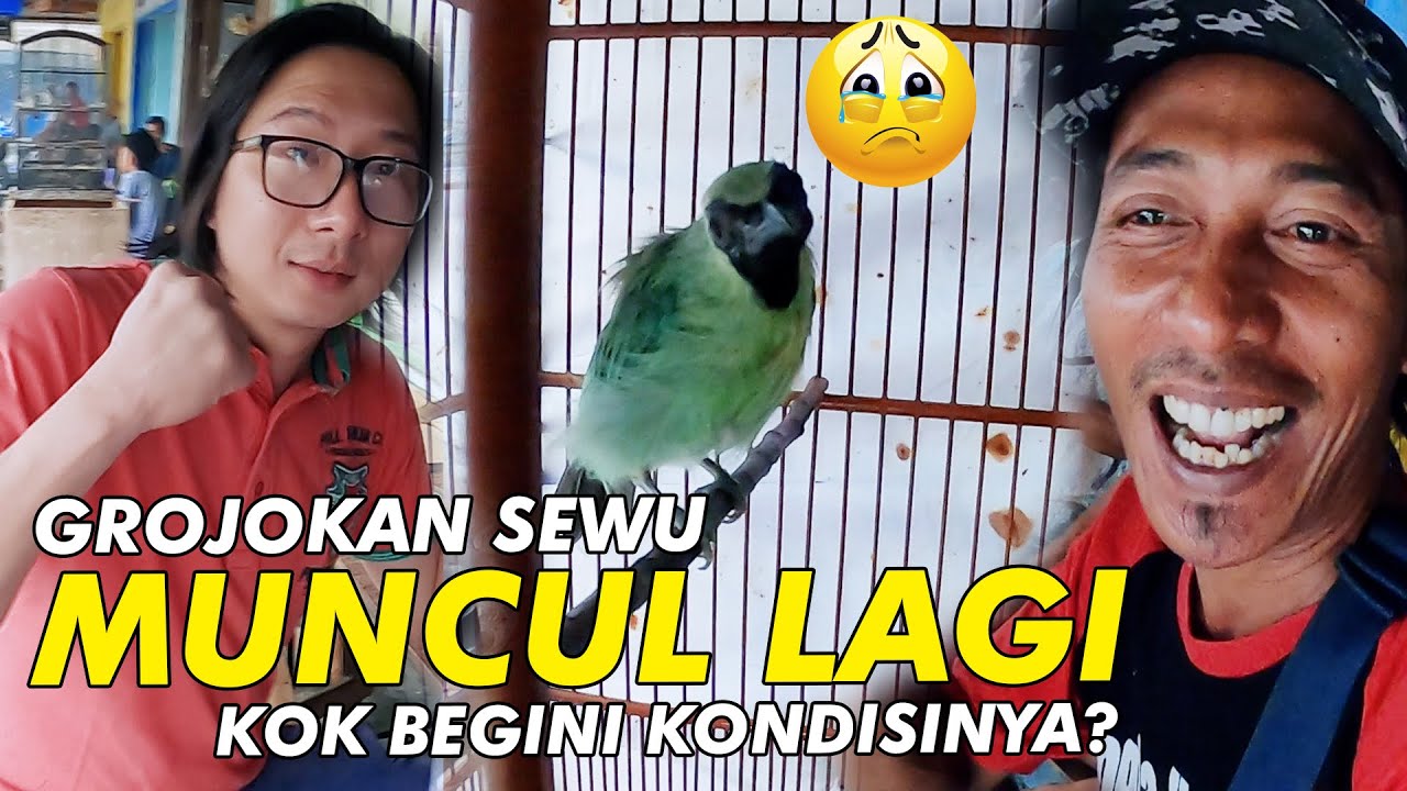 Grojokan Sewu Muncul Lagi Kok Begini Kondisinya?