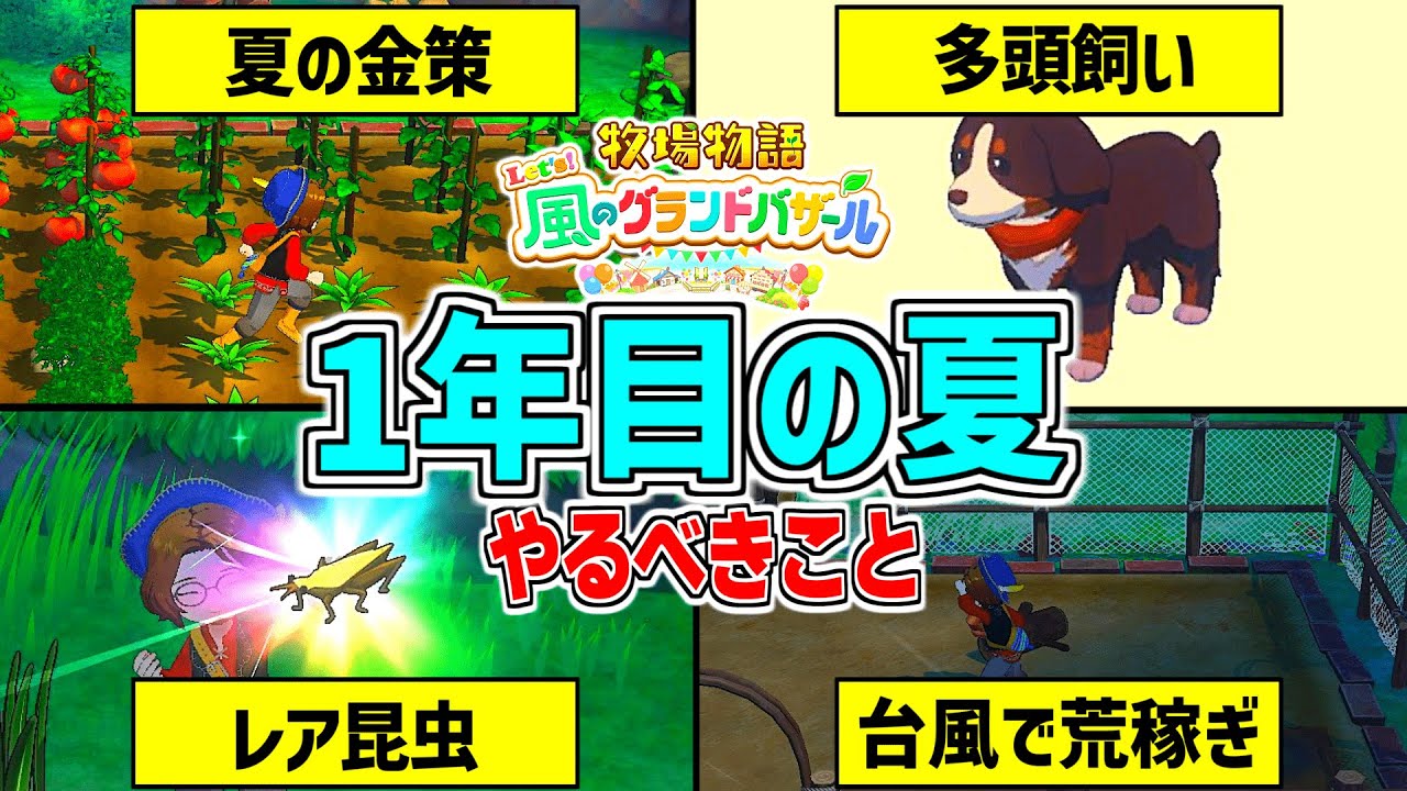 【牧場物語】1年目夏の過ごし方！買うもの・金策方法・昆虫採集・台風の日にすることetc..【 Let’s！風のグランドバザール Nintendo Switch 2】攻略/小ネタ