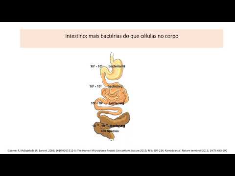 Vídeo: A Ingestão De Gordura Na Dieta E A Idade Modulam A Composição Da Microbiota Intestinal E Da Inflamação Colônica Em Camundongos C57BL / 6J