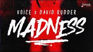 Video thumbnail of "Voice & David Rudder - Madness "2019 Soca" (Trinidad)"