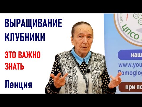 Видео: Все о выращивании клубники от Айтжановой С.Д. Выращивание земляники садовой.