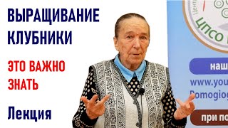 Все о выращивании клубники от Айтжановой С.Д. Выращивание земляники садовой.