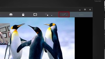Collaborative Canvas – Drawing
