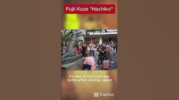 Thumbnail of The True Story Behind Fujii Kaze’s “Hachikō” Will Break Your Heart #fujiikaze #hachiko #lyrics