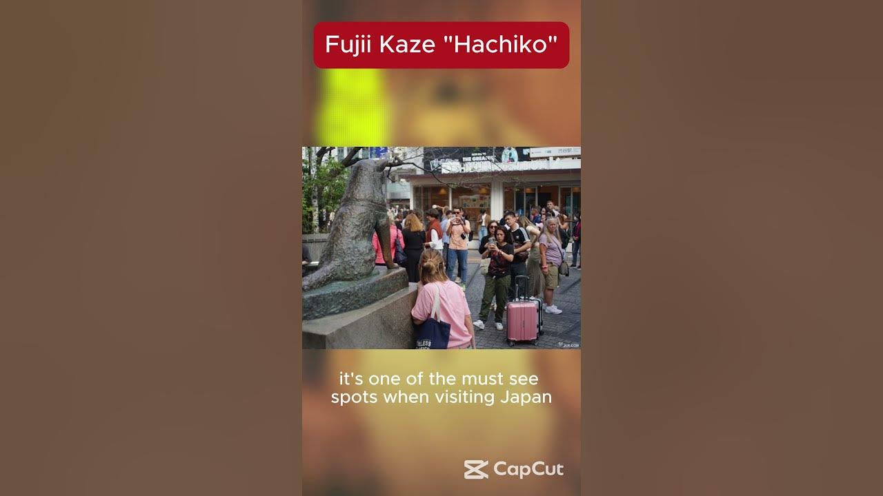The True Story Behind Fujii Kaze’s “Hachikō” Will Break Your Heart #fujiikaze #hachiko #lyrics The True Story Behind Fujii Kaze’s “Hachikō” Will Break Your Heart #fujiikaze #hachiko #lyrics
