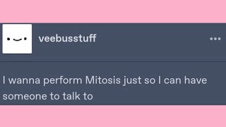 Welcome To Tumblr | Late Night Tumblr Posts