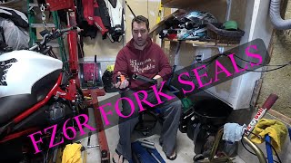 : Yamaha FZ6R Fork Rebuild - Part 3 - How to replace your fork seals