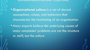 Project Management and Information Technology Context Ch2