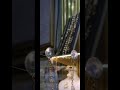 لي بغا الذهب الجوده والتمن المناسب ماعليه غير يزور محل العبدي ترقبوا الفيديو على قناتي لي بغا الذهب الجوده والتمن المناسب ماعليه غير يزور محل العبدي ترقبوا الفيديو على قناتي
