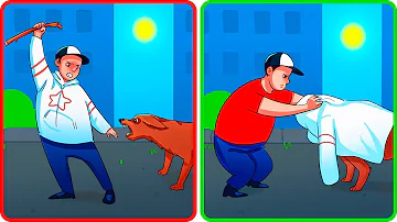 ¿Qué hacer si un perro te ataca mientras paseas?