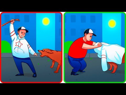 Video: Si Un Perro Ataca