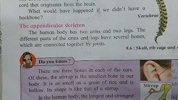 STATE BOARD STD VI SCIENCE CHP NO.8 THE SKELETAL SYSTEM & THE SKIN  PART -3