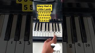 Mary had a little lamb - Nursery rhyme Easy Piano Notes #maryhadalittlelamb #nurseryrhymes #piano