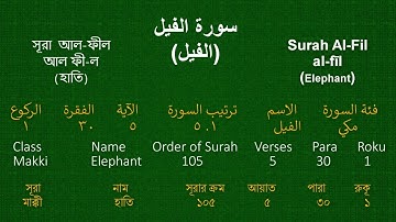 Surah Al-Fil (The Elephant): Arabic, Bangla and English translation/سورة الفيل مكتوبة ماهر المعيقلي