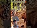 #fearlessanimals #animals #respect #wwe #samsungmodel #dothingsyoudontwanttodo #duet #samsungphone